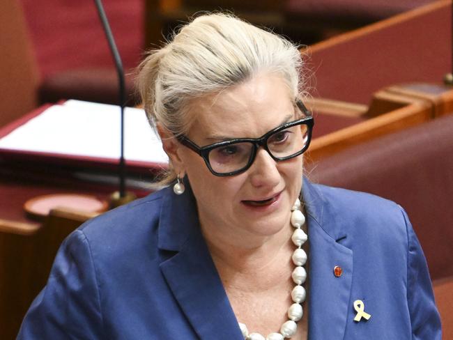 CANBERRA, Australia - NewsWire Photos - August 22, 2024: Liberal senator Holly Hughes in the Senate at Parliament House in Canberra. The Senate looks poised to pass the Labor's major NDIS reforms after striking a deal with state and territory governments yesterday. Picture: NewsWire / Martin Ollman