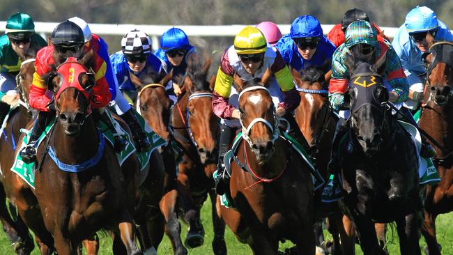 Loving home ridden by Tye Angland  (yellow cap, maroon with yellow armbands) wins race 1 during Scone  Races located in the Upper Hunter Region of NSW. The Bend . Pic Jenny Evans