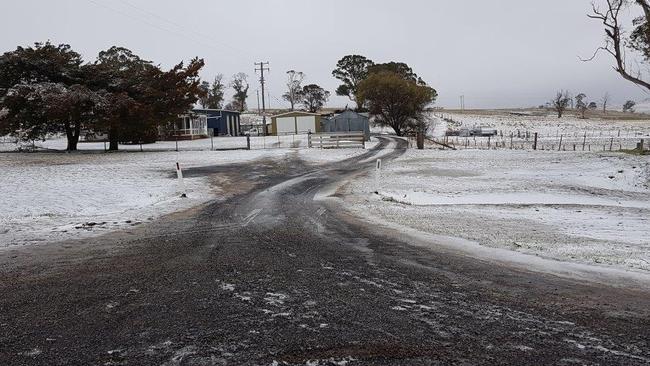 BEN LOMOND: Northern Star reader Phil drove with his dog Tarla from Cawongla to Ben Lomond chasing the snow on June 10, 2021,