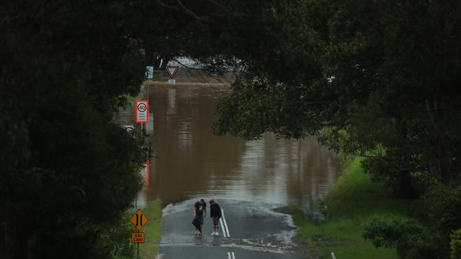Nowhere to go at Birds Rd, Maudsland. Picture: Glenn Hampson.