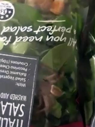 Zoe Perry filmed a massive spider inside a bag of Woolworths lettuce. Picture: Zoe Perry