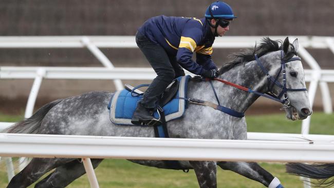 Chautauqua seems to be finally heading in the right direction. Picture: AAP.