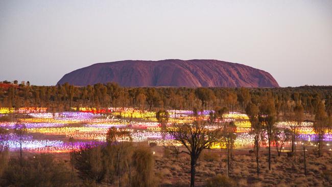 Uluru provides a majestic back drop to the Field of Light installation by artist Bruce Munro.