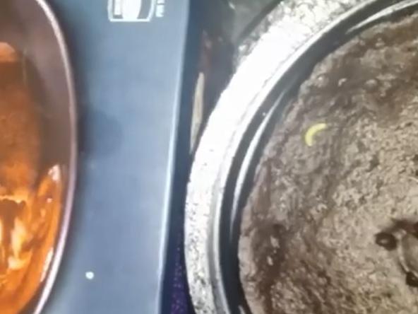 The woman from NSW posted a video on Facebook, showing the product's packaging and the maggots that she allegedly found wriggling on the top of the dessert. Picture: Facebook