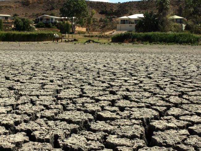 A dried-out lagoon off the River Murray shows the effects of the drought near Mannum, South Australia. Picture: News Corp