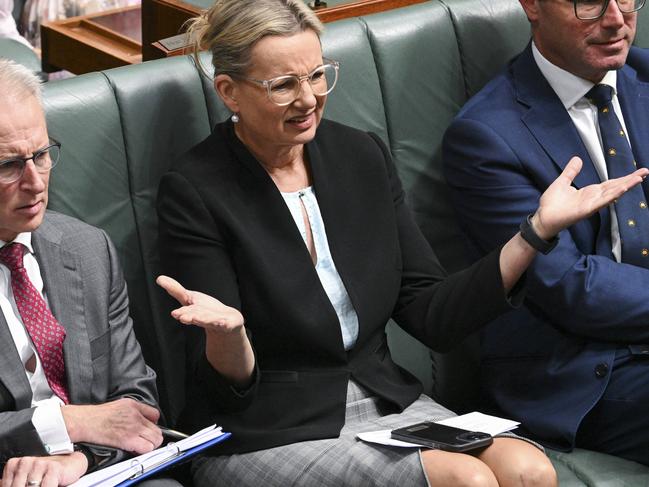 CANBERRA, AUSTRALIA, NewsWire Photos. FEBRUARY 6, 2024: Deputy Leader of the Opposition Sussan Ley during Question Time at Parliament House in Canberra. Picture: NCA NewsWire / Martin Ollman