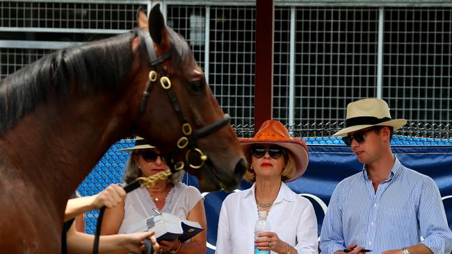 Magic Millions Preview of sales — Trainer Gai Waterhouse. Pic by David Clark