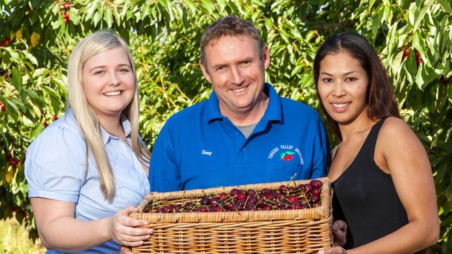 Torrens Valley Orchards owner Tony Hannaford with family members and fellow employees Chelsea and Thi.