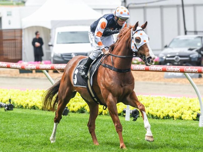 Just Folk will either run in the $500,000 Cranbourne Cup or chase $1m in The Gong at Kembla Grange on Saturday. Picture: Racing Photos via Getty Images.