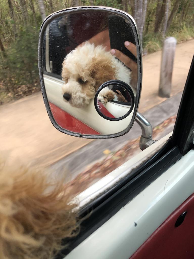 Louie driving around Byron Bay in the Kombi. Picture: Fida