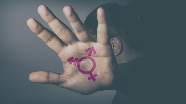 The human seems to have been taken out of human rights as people bend to the transsexual lobby and fashionistas. Picture: iStock