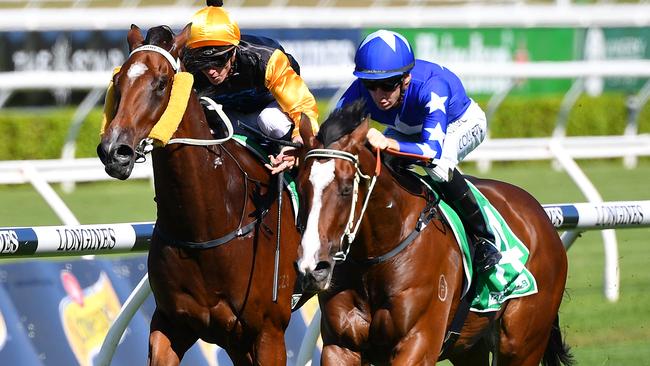 Toro Toro (left) is a top chance second-up in the TAB Highway. Picture: AAP