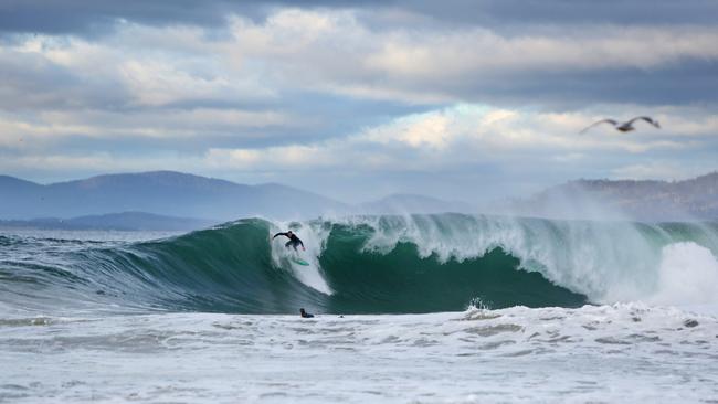 A surfer at Wedge. Picture: PATRICK GEE