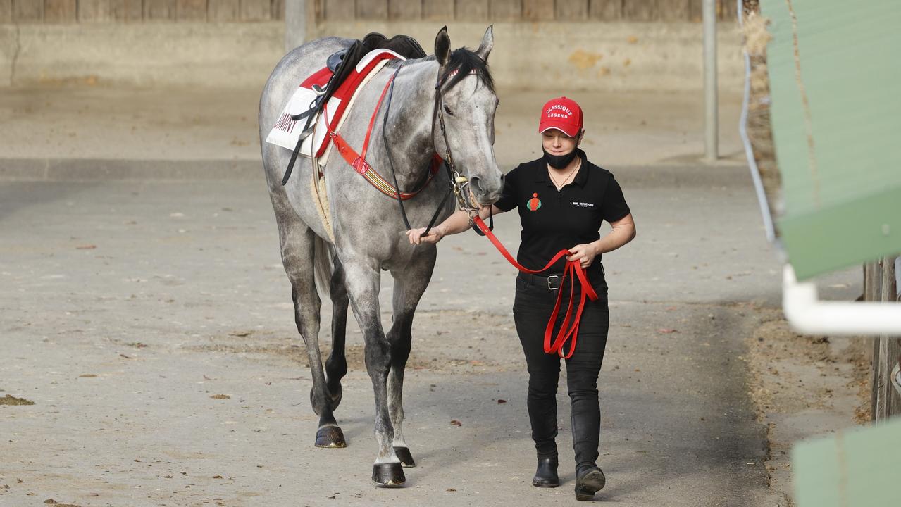 Randwick Barrier Trials