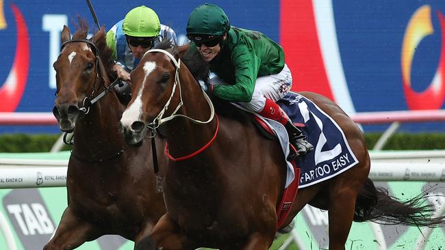 Far Too Easy is set to line up in The Hunter on Saturday. Picture: Jeremy Ng / Getty Images.