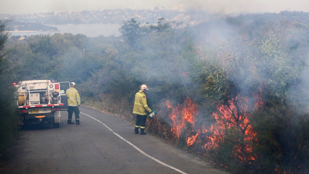 NSW environment minister calls for more hazard reduction burns