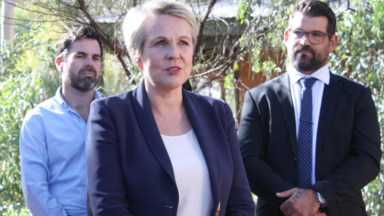 Tanya Plibersek, Shadow Minister for Education and Shadow Minister for Women. Picture: Lee Robinson