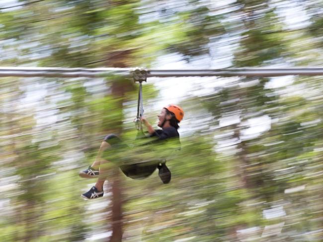 Crazy Treetop Rider the world s longest roller coaster zip line