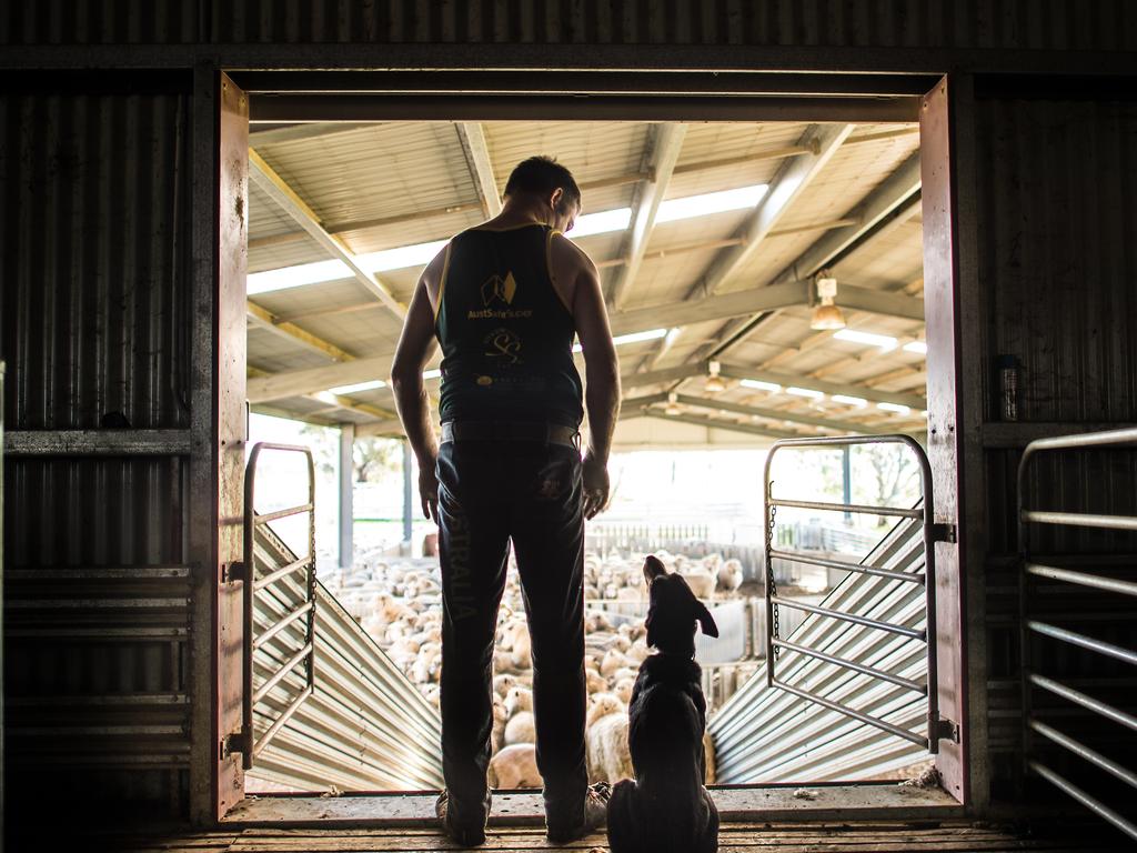 Jason Wingfield from Cobram East is going over to Ireland to represent Australia in the World Shearing Championships.