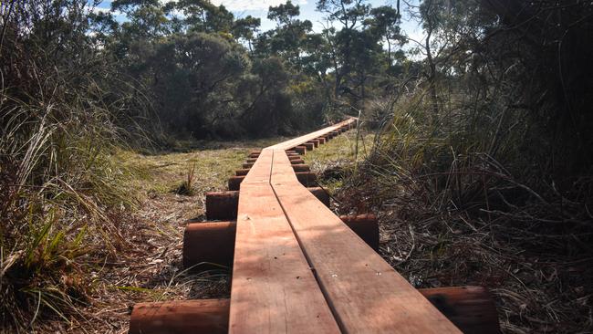 A new plank walk in Germein Reserve is ready for visitors, as the Port MacDonnell Landcare Group (PMLG) finishes their latest project. Picture: Supplied.