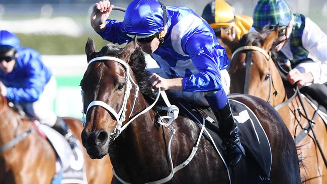 Winx, Almandin top nominations for Victorian horse of year award | news ...