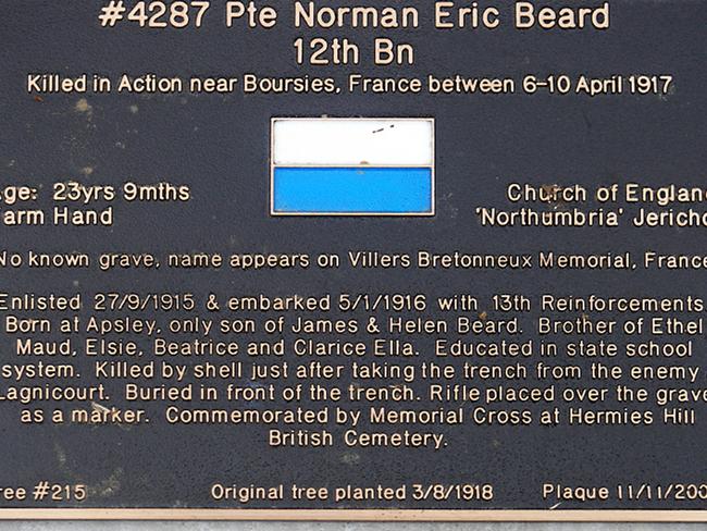 World War I soldier Norman Beard’s plaque on the Soldiers' Memorial Avenue in Hobart.