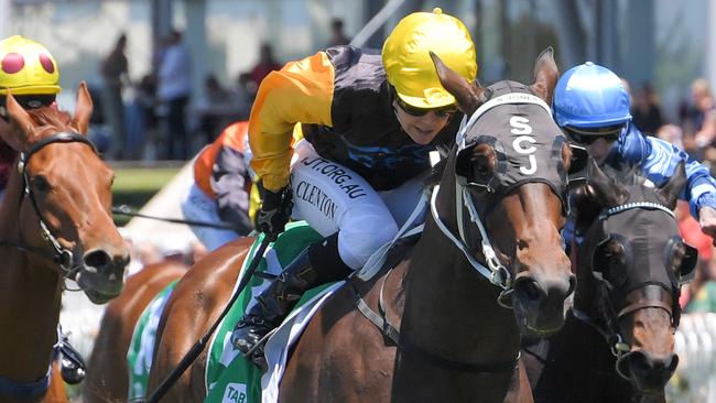 Hit The Target can overcome his big weight to score at Tamworth. Picture: AAP Image