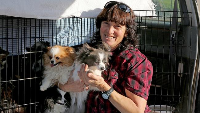 Mid-North animal breeder Dora Ryan. Picture: Dylan Coker