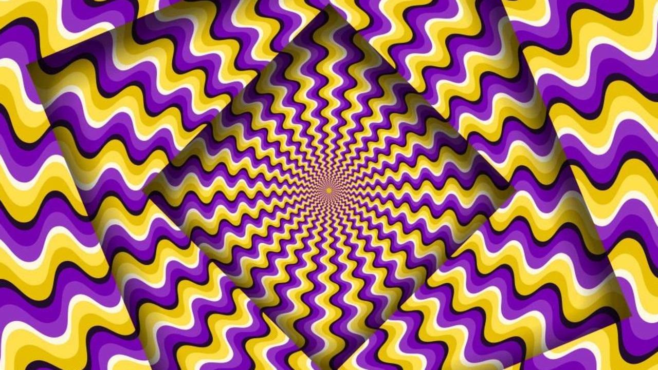 Optical illusions and their place in evolutionary science