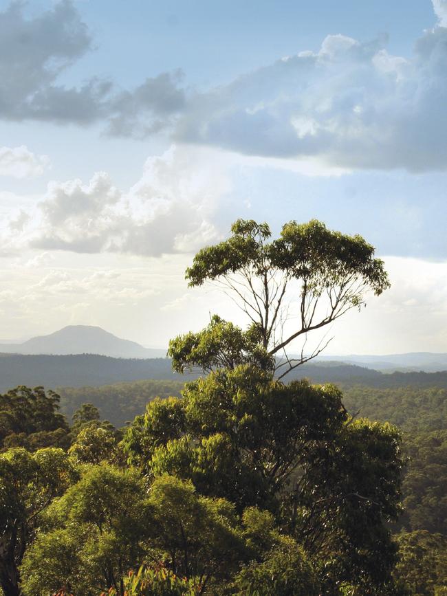 Yengo National Park is closed.