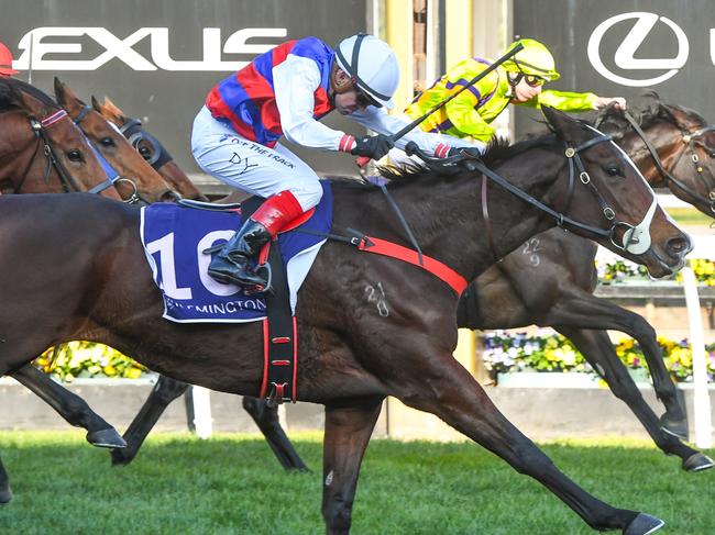 Cindy Falls (NZ) ridden by Dean Yendall wins the Leilani Series Final at Flemington Racecourse on July 06, 2024 in Flemington, Australia. (Photo by Brett Holburt/Racing Photos via Getty Images)