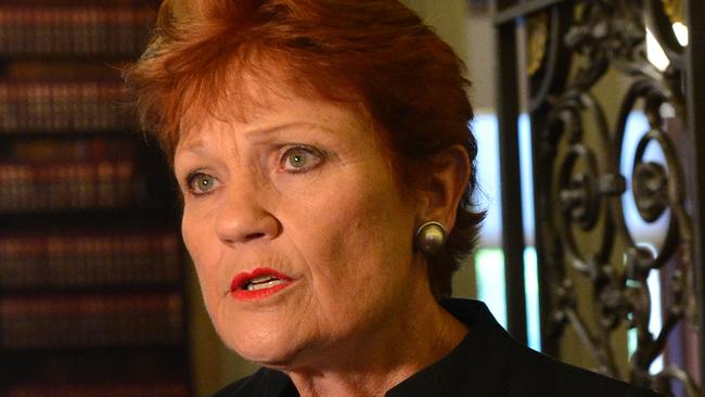 MELBOURNE, AUSTRALIA - NewsWire Photos DECEMBER 20TH, 2022: Pauline Hanson speaks to the media at Victorian Parliament. Picture: NCA NewsWire / Nicki Connolly