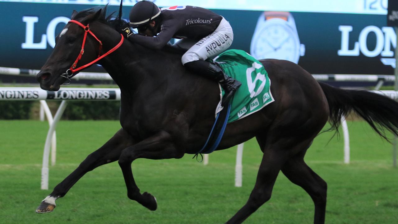 Fasika will take beating in the Group 2 Missile Stakes. Picture: Grant Guy