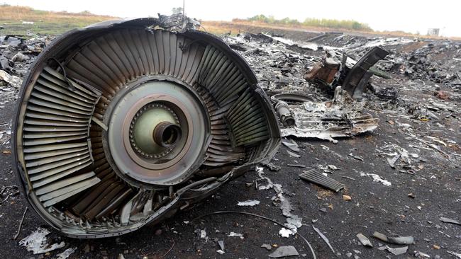 All 298 people, including 38 Australian residents and citizens, were killed in the MH17 crash. Picture: AFP Photo/Alexander Khudoteply