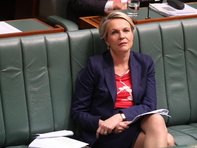 Tanya Plibersek said Bernardi’s defection illustrated Turnbull Government was weak and divided. Picture: Kym Smith