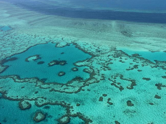 The report said climate change remained the reef’s biggest threat. Picture: Sarah Lai/AFP