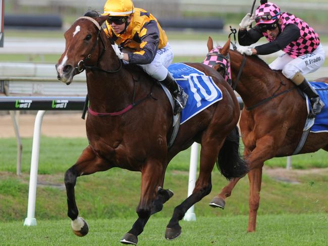 Hidden Pearl wins again at Doomben in June. Photo courtesy Grant Peters, Trackside Photography