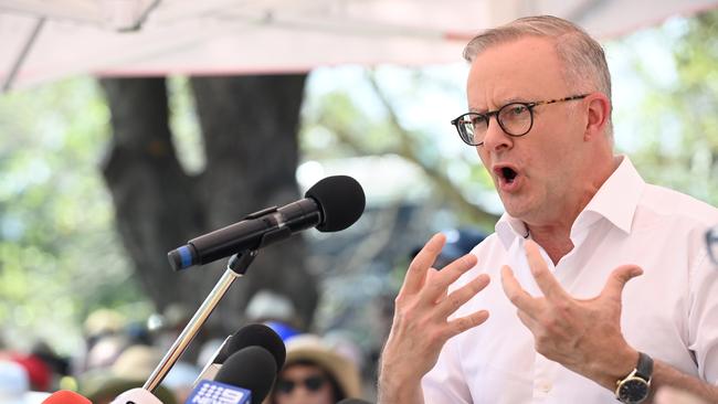 Anthony Albanese speaks at the Inner West BBQ for The Voice to Parliament at Petersham Park in Sydney. Picture: NCA NewsWire / Jeremy Piper