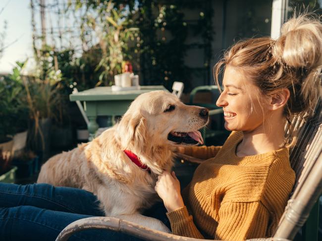 What would you do if your partner and pet didn’t get along? Picture: iStock