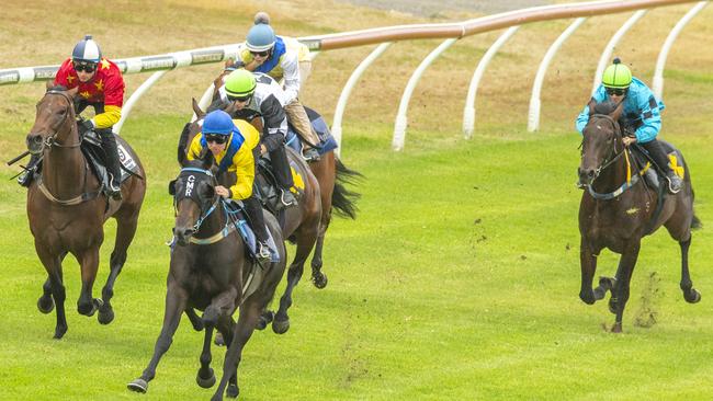 Tommy Berry (blue cap) on Cellsabeel wins a trial at Royal Randwick last week. Pic: Getty Images