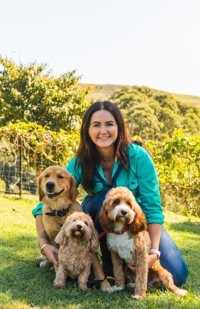 Diamond Valley owner Lisa Howlett with her own pets Ally (golden retriever), Lara (shoodle) and Macey (mini cavoodle)