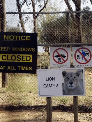 A general view of an enclosure of the Lion Park, in Johannesburg. Picture: AP Photo/Themba Hadebe