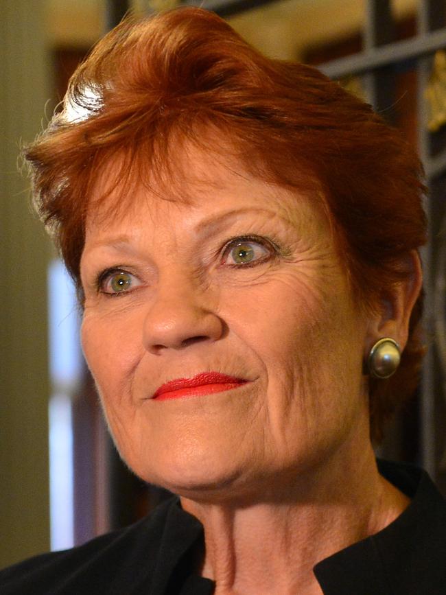 Pauline Hanson. Picture: NCA NewsWire/Nicki Connolly