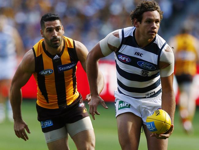 Geelong’s free agent Steve Motlop Picture: WAYNE LUDBEY