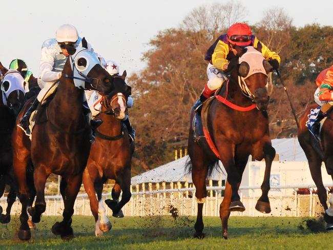 Le Val (red cap) overhauls Vienna Royale late to win at Doomben in August last year. Picture: Grant Peters, Trackside Photography