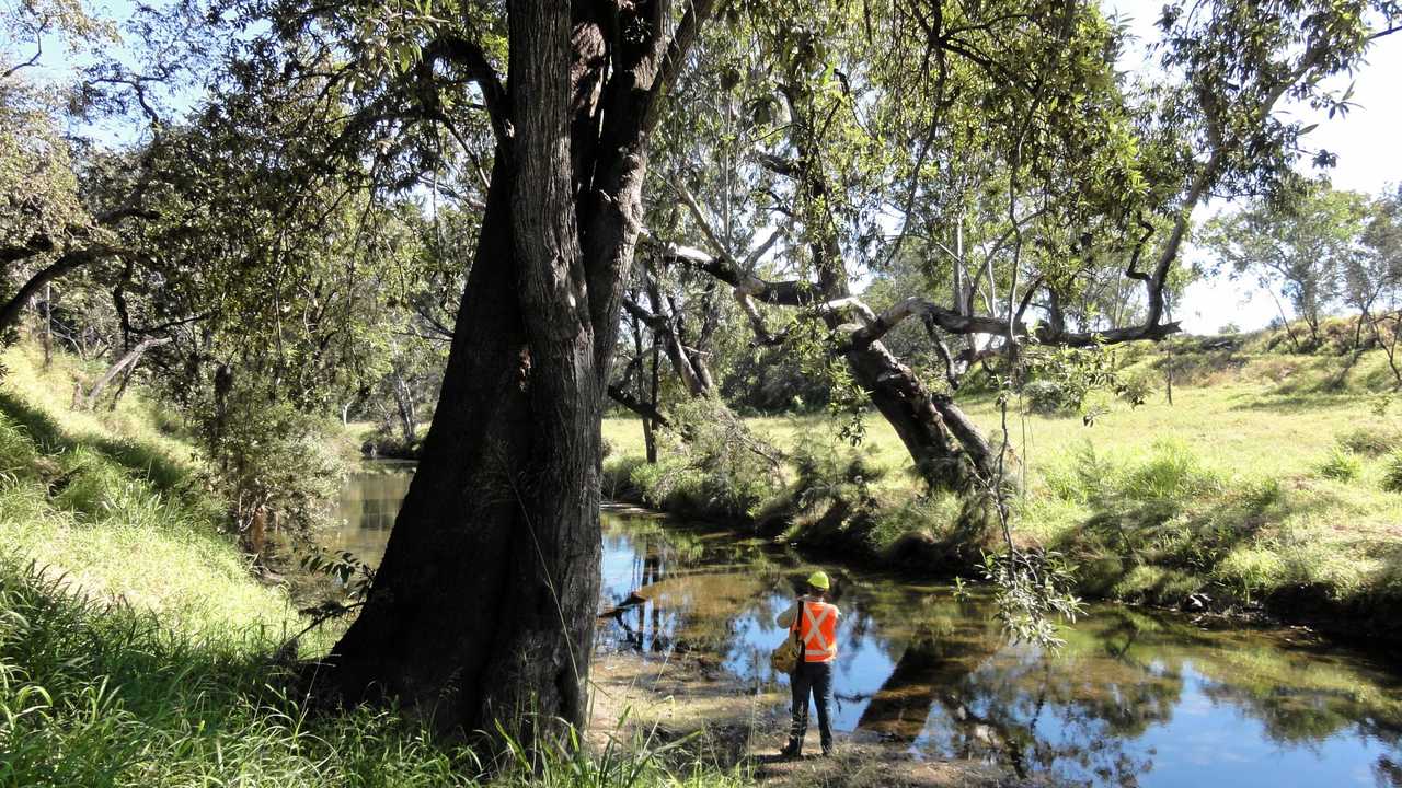 Concerns about the future of the creek as QCoal clears land. Picture: Contributed