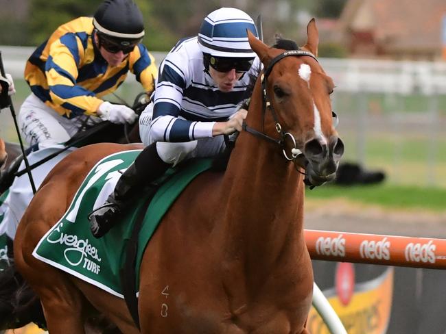 MELBOURNE, AUSTRALIA - AUGUST 13: Damian Lane riding Uncommon James winning Race 7, the Evergreen Turf Regal Roller Stakes, during Melbourne Racing at Caulfield Racecourse on August 13, 2022 in Melbourne, Australia. (Photo by Vince Caligiuri/Getty Images)