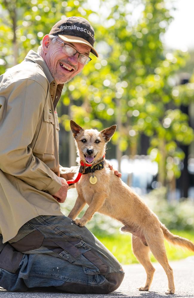 Milo, the Jack Russell terrier found by Animal rescuer Nigel Williamson (pictured) and Toby Mitchell (works for Nigel).Milo was lost for 17 day search around Tullamarine. Picture: Jason Edwards