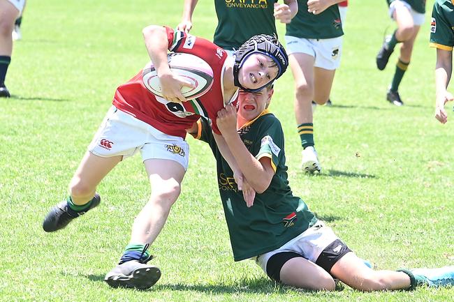 Pacific Youth Rugby Festival in Albany Creek Saturday October 19, 2024. Picture, John Gass