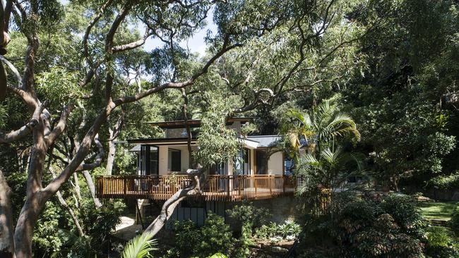 A designer beach house in Palm Beach known as Palm Tree House. Picture credit: Richard Cole Architecture